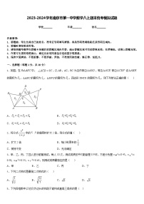 2023-2024学年南京市第一中学数学八上期末统考模拟试题含答案