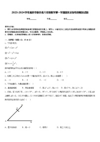 2023-2024学年南京市联合体八年级数学第一学期期末达标检测模拟试题含答案