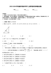 2023-2024学年南京市重点中学八上数学期末统考模拟试题含答案