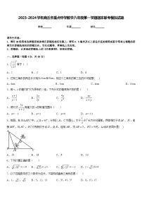 2023-2024学年商丘市重点中学数学八年级第一学期期末联考模拟试题含答案