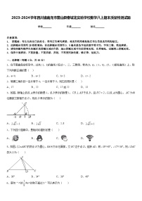 2023-2024学年四川省南充市营山县春城北实验学校数学八上期末质量检测试题含答案