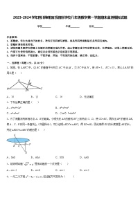 2023-2024学年四川绵阳富乐园际学校八年级数学第一学期期末监测模拟试题含答案