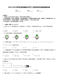 2023-2024学年四川省成都崇庆中学八上数学期末质量跟踪监视试题含答案