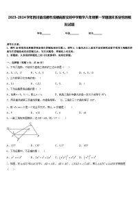 2023-2024学年四川省成都市成都高新实验中学数学八年级第一学期期末质量检测模拟试题含答案