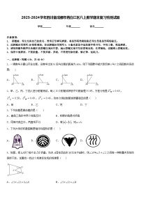 2023-2024学年四川省成都市青白江区八上数学期末复习检测试题含答案