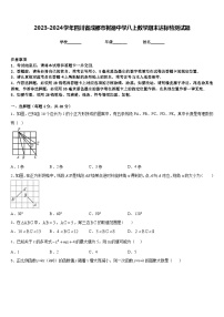 2023-2024学年四川省成都市树德中学八上数学期末达标检测试题含答案