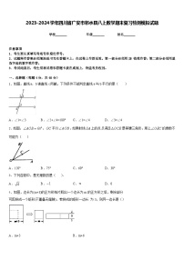 2023-2024学年四川省广安市邻水县八上数学期末复习检测模拟试题含答案