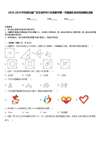 2023-2024学年四川省广安友谊中学八年级数学第一学期期末质量检测模拟试题含答案