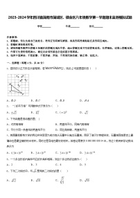 2023-2024学年四川省简阳市简城区、镇金区八年级数学第一学期期末监测模拟试题含答案