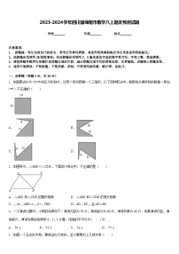 2023-2024学年四川省绵阳市数学八上期末预测试题含答案