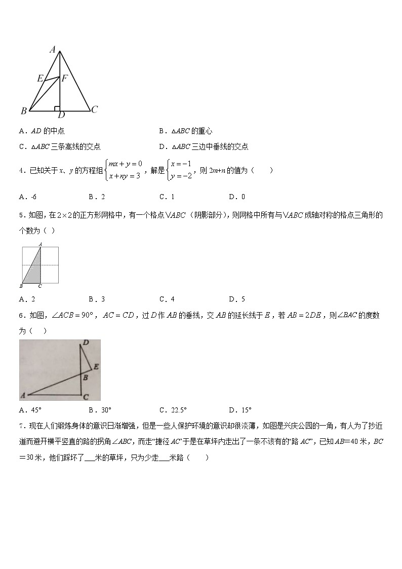 2023-2024学年四川省长宁县八上数学期末综合测试模拟试题含答案第2页
