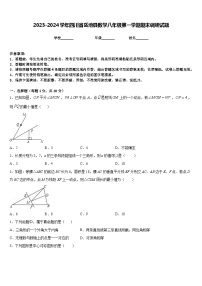 2023-2024学年四川省岳池县数学八年级第一学期期末调研试题含答案
