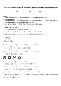 2023-2024学年四川省遂宁第二中学数学八年级第一学期期末质量跟踪监视模拟试题含答案