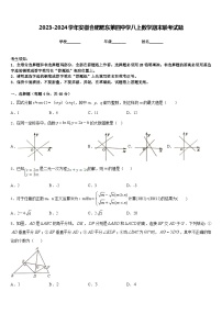 2023-2024学年安徽合肥肥东第四中学八上数学期末联考试题含答案