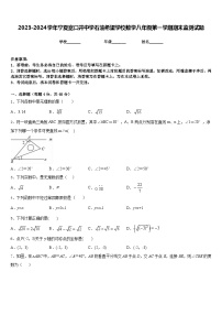 2023-2024学年宁夏宽口井中学石油希望学校数学八年级第一学期期末监测试题含答案