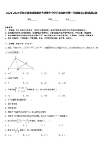 2023-2024学年天津市滨海新区大港第十中学八年级数学第一学期期末达标测试试题含答案