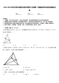 2023-2024学年天津市河西区环湖中学数学八年级第一学期期末教学质量检测模拟试题含答案