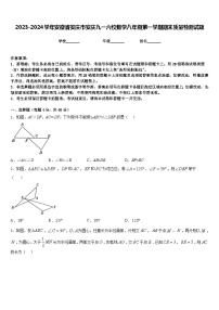 2023-2024学年安徽省安庆市安庆九一六校数学八年级第一学期期末质量检测试题含答案