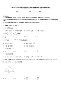 2023-2024学年安徽省安庆市桐城市数学八上期末调研试题含答案