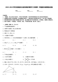 2023-2024学年安徽省安庆宿松县联考数学八年级第一学期期末调研模拟试题含答案