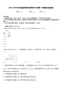 2023-2024学年安徽省滁州来安县数学八年级第一学期期末监测试题含答案