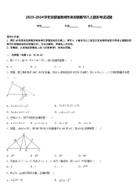 2023-2024学年安徽省滁州市来安县数学八上期末考试试题含答案