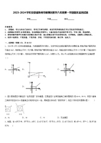 2023-2024学年安徽省滁州市琅琊区数学八年级第一学期期末监测试题含答案