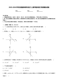 2023-2024学年安徽省滁州市名校八上数学期末复习检测模拟试题含答案