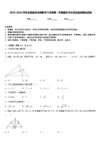 2023-2024学年安徽省定远县数学八年级第一学期期末学业质量监测模拟试题含答案