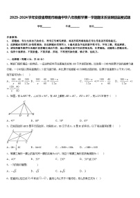 2023-2024学年安徽省阜阳市颍南中学八年级数学第一学期期末质量跟踪监视试题含答案