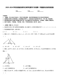 2023-2024学年安徽省合肥市行知学校数学八年级第一学期期末达标检测试题含答案