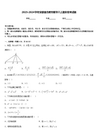 2023-2024学年安徽省合肥市数学八上期末统考试题含答案