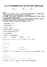 2023-2024学年安徽省淮南市大通区（东部）数学八年级第一学期期末考试试题含答案