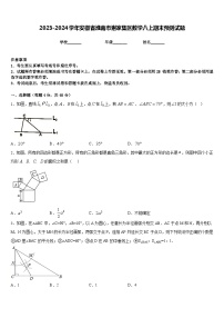 2023-2024学年安徽省淮南市谢家集区数学八上期末预测试题含答案