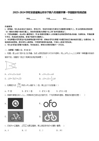 2023-2024学年安徽省黄山市休宁县八年级数学第一学期期末检测试题含答案