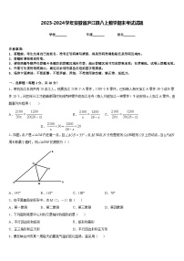 2023-2024学年安徽省庐江县八上数学期末考试试题含答案