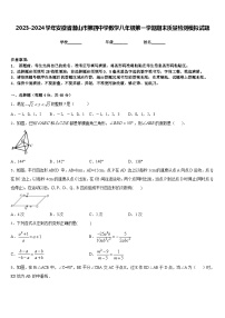 2023-2024学年安徽省潜山市第四中学数学八年级第一学期期末质量检测模拟试题含答案