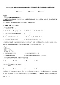 2023-2024学年安徽省芜湖市部分学校八年级数学第一学期期末统考模拟试题含答案