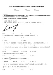 2023-2024学年山东威海市14中学八上数学期末复习检测试题含答案