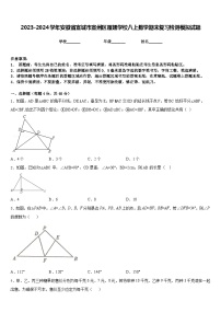 2023-2024学年安徽省宣城市宣州区雁翅学校八上数学期末复习检测模拟试题含答案