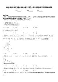 2023-2024学年安徽省宣城市第六中学八上数学期末教学质量检测模拟试题含答案