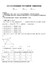 2023-2024学年安徽省宿州二中学八年级数学第一学期期末统考试题含答案