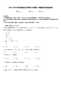 2023-2024学年安徽省无为市数学八年级第一学期期末质量检测试题含答案