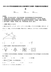 2023-2024学年安徽省铜陵义安区六校联考数学八年级第一学期期末综合测试模拟试题含答案