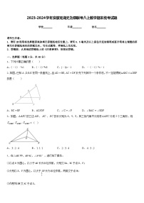 2023-2024学年安徽芜湖无为县联考八上数学期末统考试题含答案