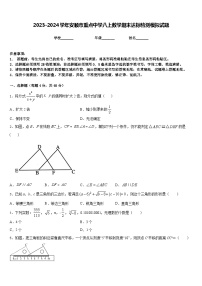 2023-2024学年安顺市重点中学八上数学期末达标检测模拟试题含答案