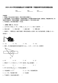 2023-2024学年安徽省潜山市八年级数学第一学期期末教学质量检测模拟试题含答案