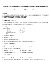 黑龙江省大庆市杜尔伯特县2023-2024学年数学八年级第一学期期末调研模拟试题含答案