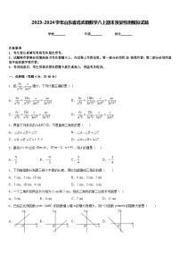 2023-2024学年山东省成武县数学八上期末质量检测模拟试题含答案