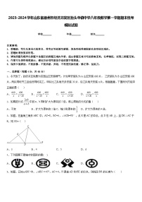 2023-2024学年山东省德州市经济开发区抬头寺镇中学八年级数学第一学期期末统考模拟试题含答案